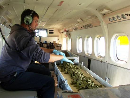 飞机上的饵料投放机（图片来源：ontario.ca）