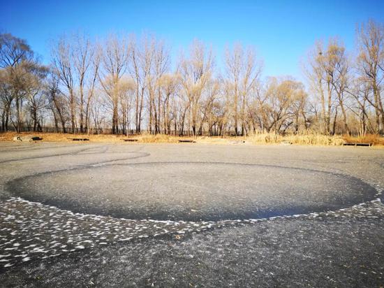 北京疑似冰圈 拍摄地点：北京为蓝自然营地鹭湖图/张惊雷