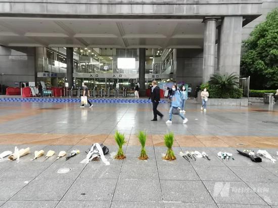 中南大学湘雅医院门口,三棵水稻秧苗格外显眼
图片来源:每经记者 陈晴 摄