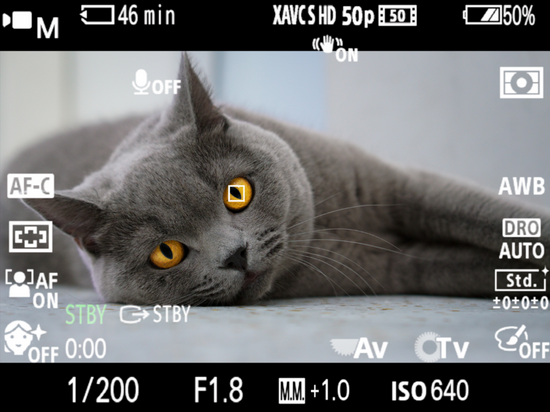 升级Ver.2.00固件后ZV-E10支持视频动物实时眼部对焦