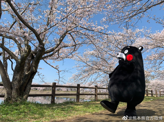 冰墩墩,不是这么玩的