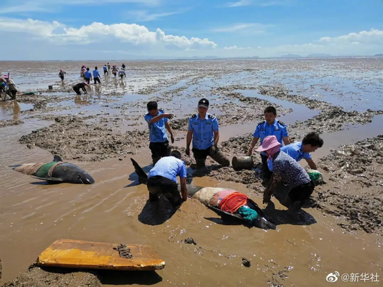 对搁浅的瓜头鲸进行救援 | 新浪微博：@新华社（浙江省临海市宣传部供图）