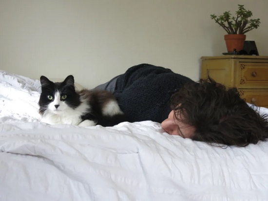 41%的宠物主人认为和宠物一起睡觉时的陪伴能够给他们安心和放松的感觉。| Wiki