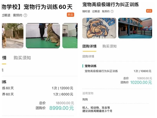 ▲北京部分宠物学校培训课程收费上万元