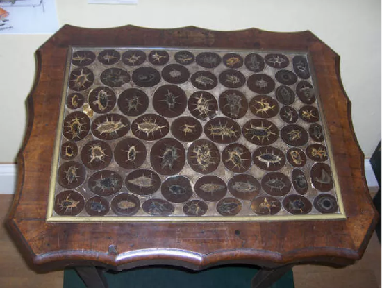 粪化石桌，如今收藏于莱姆雷吉斯的博物馆。图片来源：Lyme Regis Museum