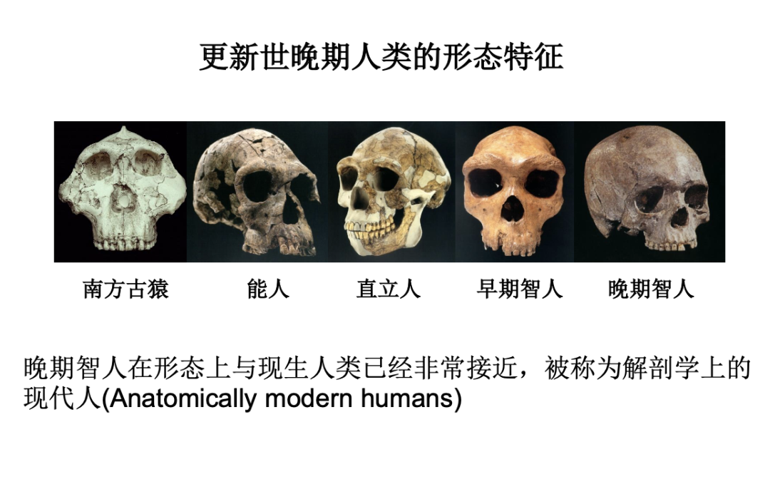 五万年来人类如何沿海迁徙 为何一千多年前东亚人又重返非洲 人类迁徙 新浪科技 新浪网 五万年来人类如何沿海迁徙 为何一千多年前东亚人又重返非洲 人类迁徙 新浪科技 新浪网
