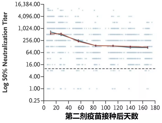 中和抗体（直接与病毒结合的抗体）水平也逐渐下降，中和能力明显减弱