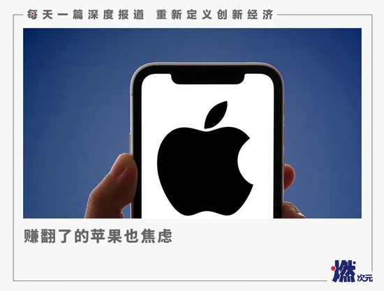 苹果赚翻了