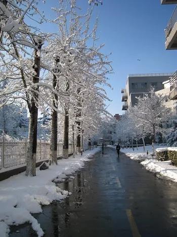 在这炎热到喘不动气的日子里看看雪景，不知道能不能降降温。