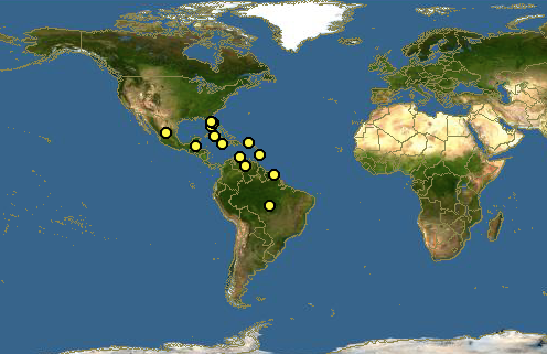 红树林鳉的分布。Global Biodiversity Information Facility