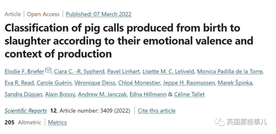 科学家用人工智能翻译猪叫，能听出猪在想啥！
