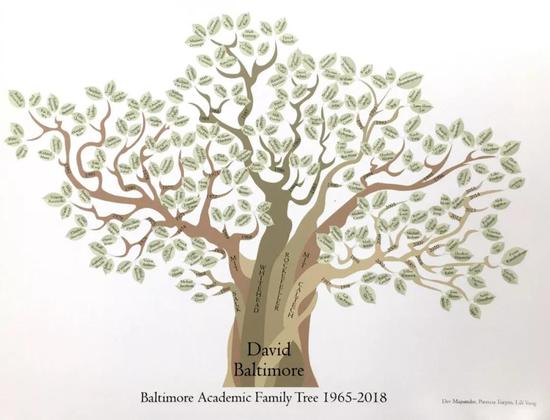 巴尔的摩教授的学术家谱——图中每片树叶都是巴尔的摩教授的一位学生|图片来源：David Baltimore