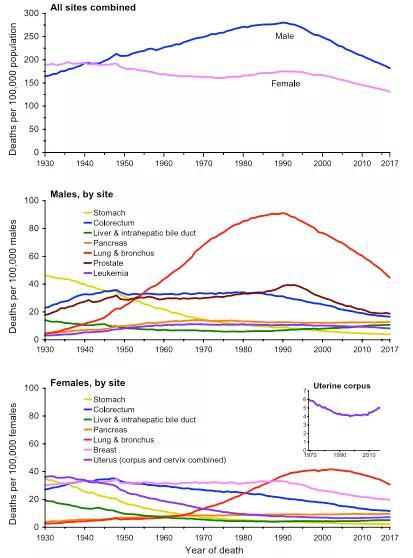  2020年美国主要癌症死亡率数据