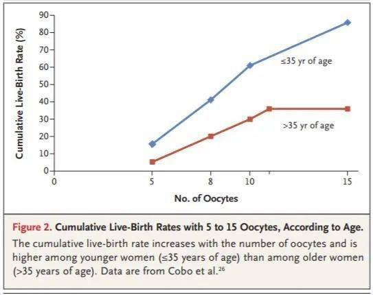 5个~15个卵母细胞随年龄变化的累计存活率（图源：NEJM）