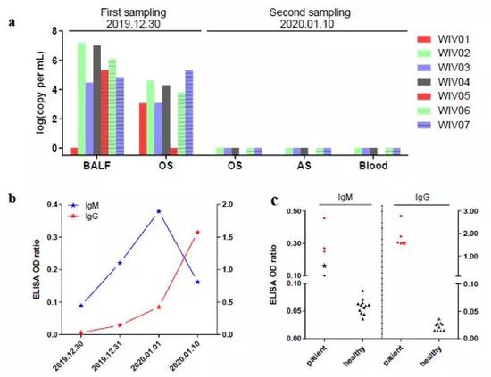  图2。 七位患者体内病毒核酸检测（a）；一位2019年12月23日出现发病症状的患者体内血清学变化情况（b）；七位患者抗体水平检测（c）。