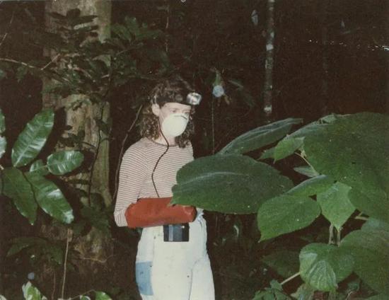 昆虫学家玛丽娜·赫莉穿粒子面罩和焊接手套在处理刺树。图/Marina Hurley
