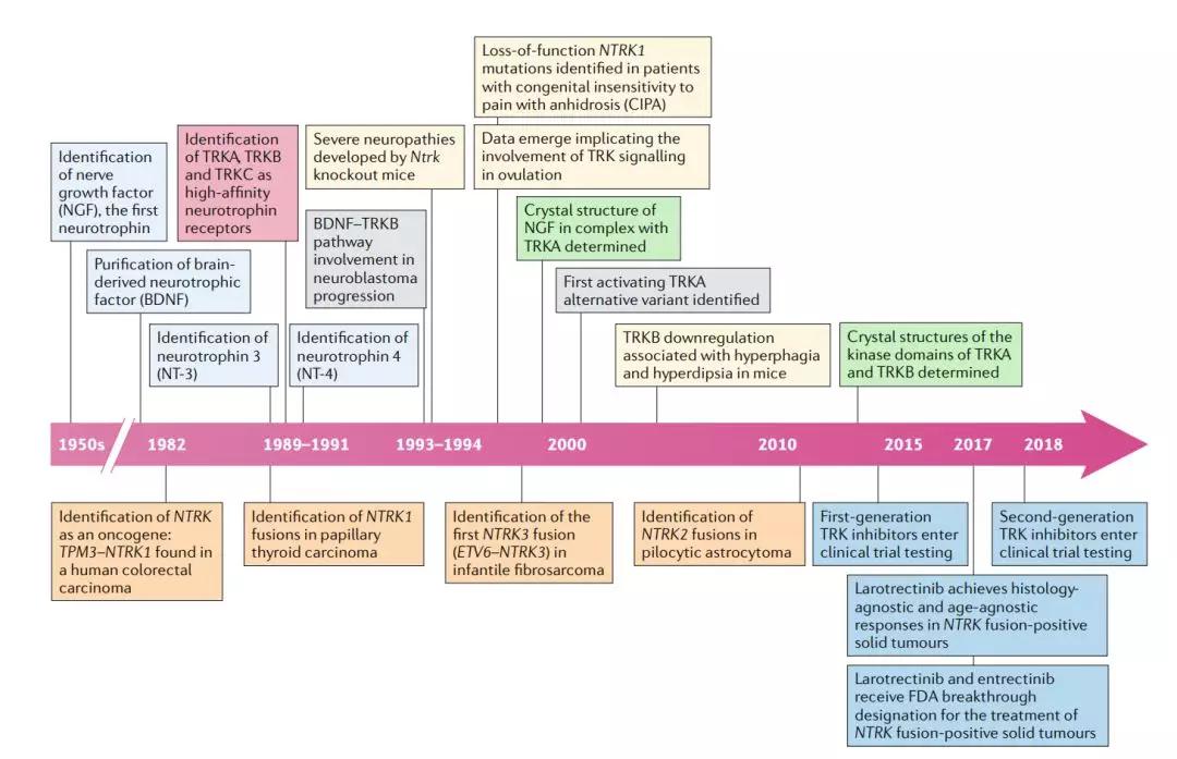 图5：从发现TRK是抑癌基因到研发对应靶向药的时间一览表