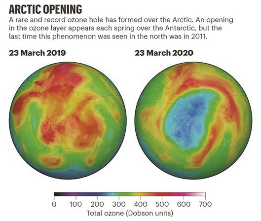 北极上空出现了一个罕见的臭氧层空洞。 图片来源：NASA Ozone Watch
