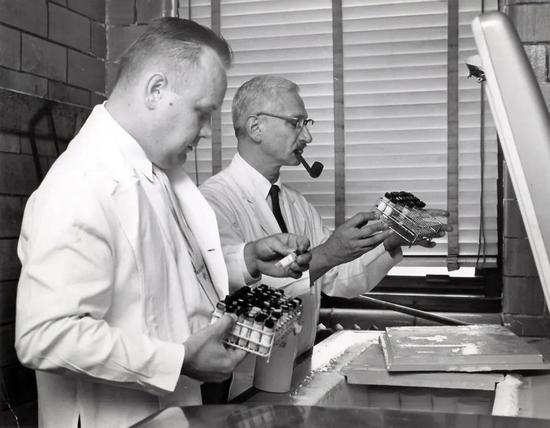 　1960年，萨宾博士（右）正在实验 | polioplace.org