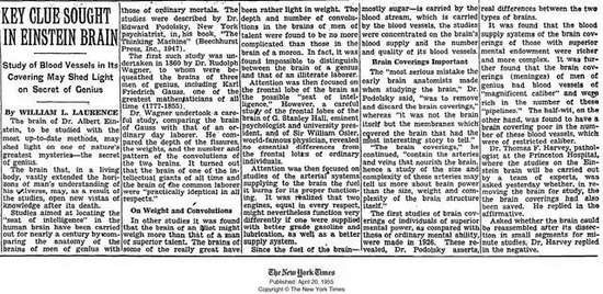 1955年4月20日的纽约时报头版文章