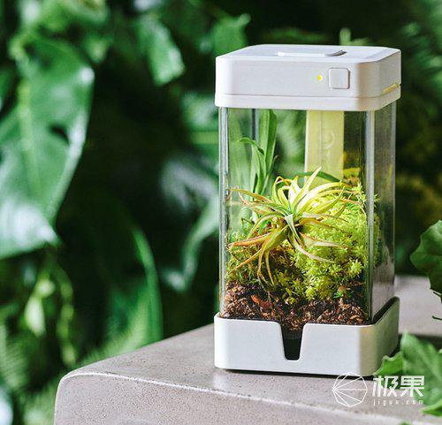 摆在桌上的花园智能控温控水还拟光 花园 植物 绿植 新浪科技 新浪网 摆在桌上的花园智能控温控水还拟光 花园 植物 绿植 新浪科技 新浪网