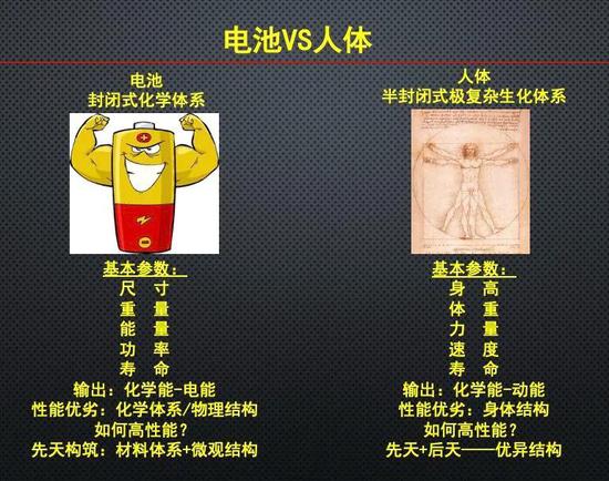 示意图，电池与人体 | 作者供图 