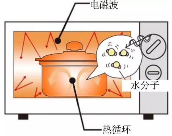 微波炉加热食品主要加热的是食品里面的水分