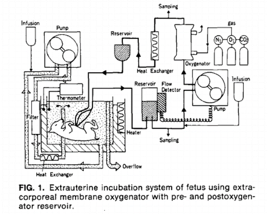 桑原设计的系统中，山羊胎儿被人造羊水包围在橡胶环境中，并与体外膜氧合器相连，血液从脐动脉排出并返回脐静脉，灌注的血液通过 O2、N2和 CO2气体的混合物进行再循环
