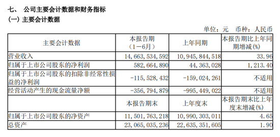 庞大集团2021年上半年财务情况，截图自财报