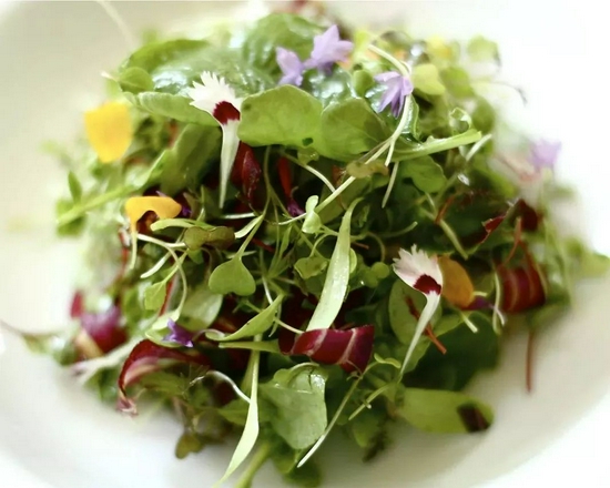 小玉米小番茄小胡萝卜……迷你蔬菜是怎么来的?