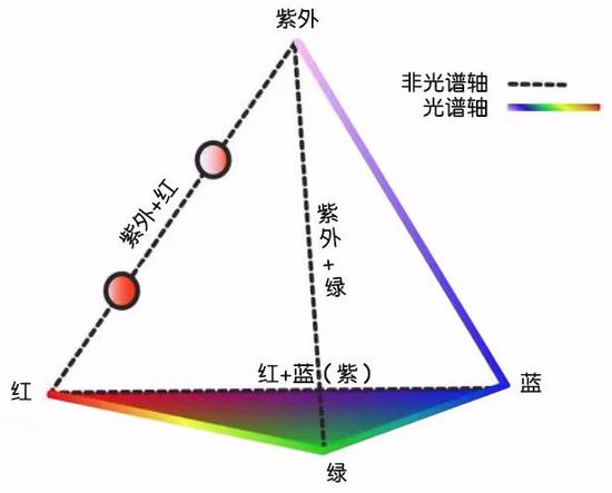 鸟类所能看到的颜色通常可以用一个四面体的颜色空间来表示。| 图片来源：Stoddard Lab