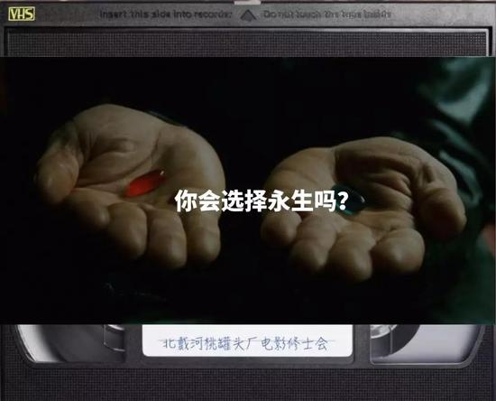 冷冻大脑:你会花75万冷冻大脑永生吗?