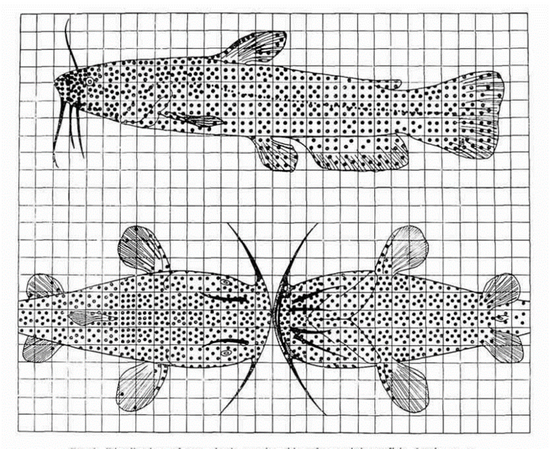 为什么猫咪感受不到甜味，却对苦味格外敏感？