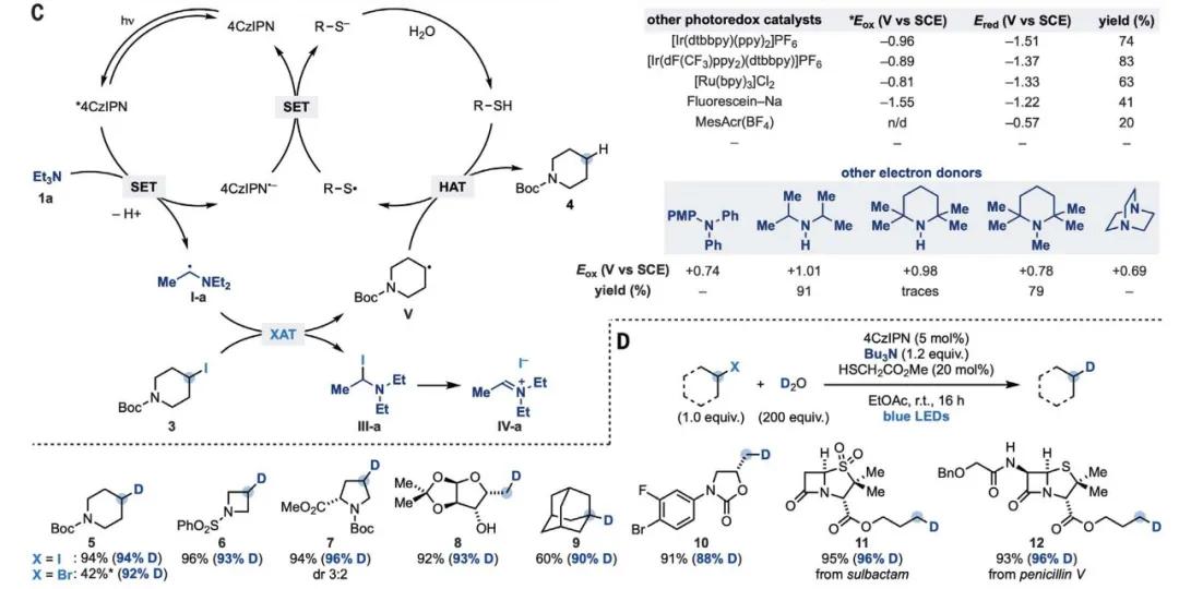 《科学》:自由基化学新突破,卤代烃氧化不再