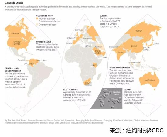 耳念珠菌病例出现地区分布图