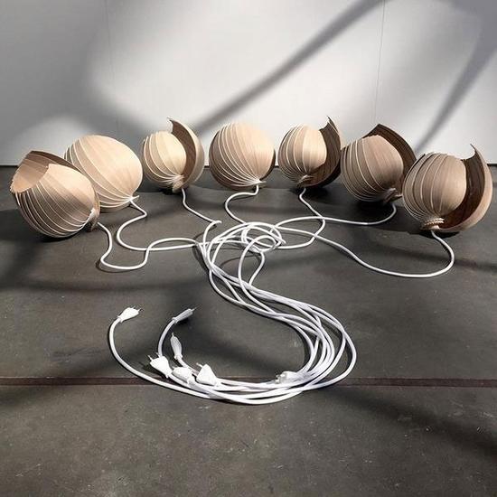 智能奇趣:有洋葱概念又像贝壳设计的灯