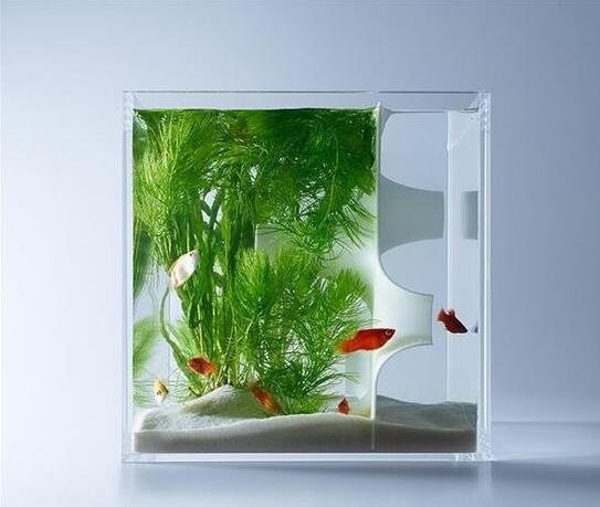 日本艺术家用3d打印打造个性水族箱