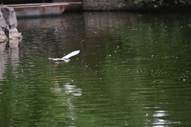 发烧友的选择 索尼FE 70-200mm GM评测 