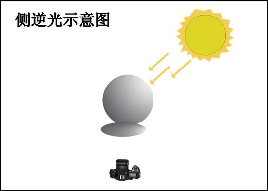 摄影师揭秘 不同光线在摄影中的表现|拍摄技巧_新浪科技_新浪网