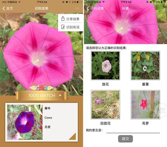 微软识花:微软和中科院联手 做了一款强大的识花神器