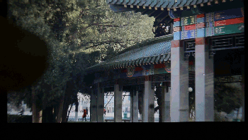 拍照改靠视频截？相机视频截图靠谱吗