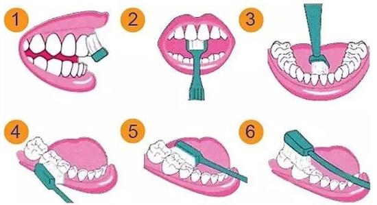 圆弧刷牙法图解图片