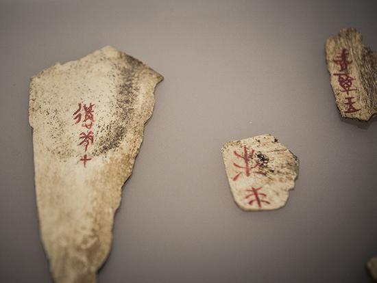 河南安阳，殷墟遗址博物馆内的甲骨文。视觉中国 资料