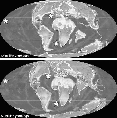 千万年前，无论大陆还是海洋都与现在不同。图片来源：Emma Kast