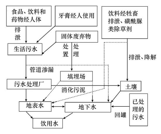 人工甜味剂的流向