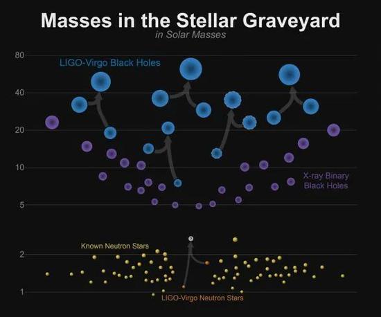 目前发现的黑洞和中子星质量分布图。蓝色的是引力波发现的黑洞，紫色是X射线探测到的黑洞，图片来源：LIGO/Caltech