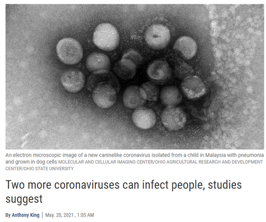 Science：又发现两种可感染人的冠状病毒