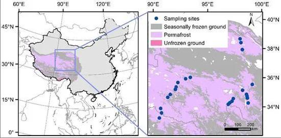 图4 青藏高原冻土区样点分布图 （绘图：房凯和陈永亮）