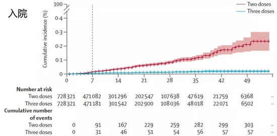 　接种三剂（蓝色）比接种两剂（红色）的人因新冠相关原因入院的几率更低