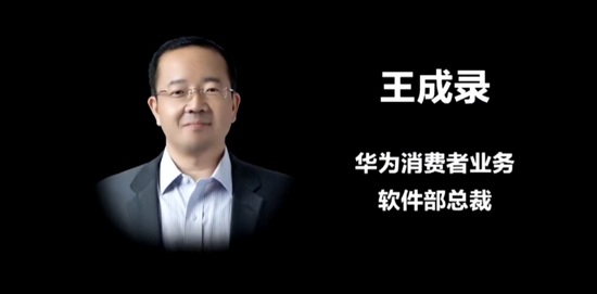 2020年华为开发者大会上王成录的职位介绍